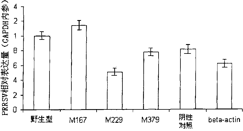 siRNA segment and application thereof used for curing and/or preventing porcine reproductive and respiratory syndrome