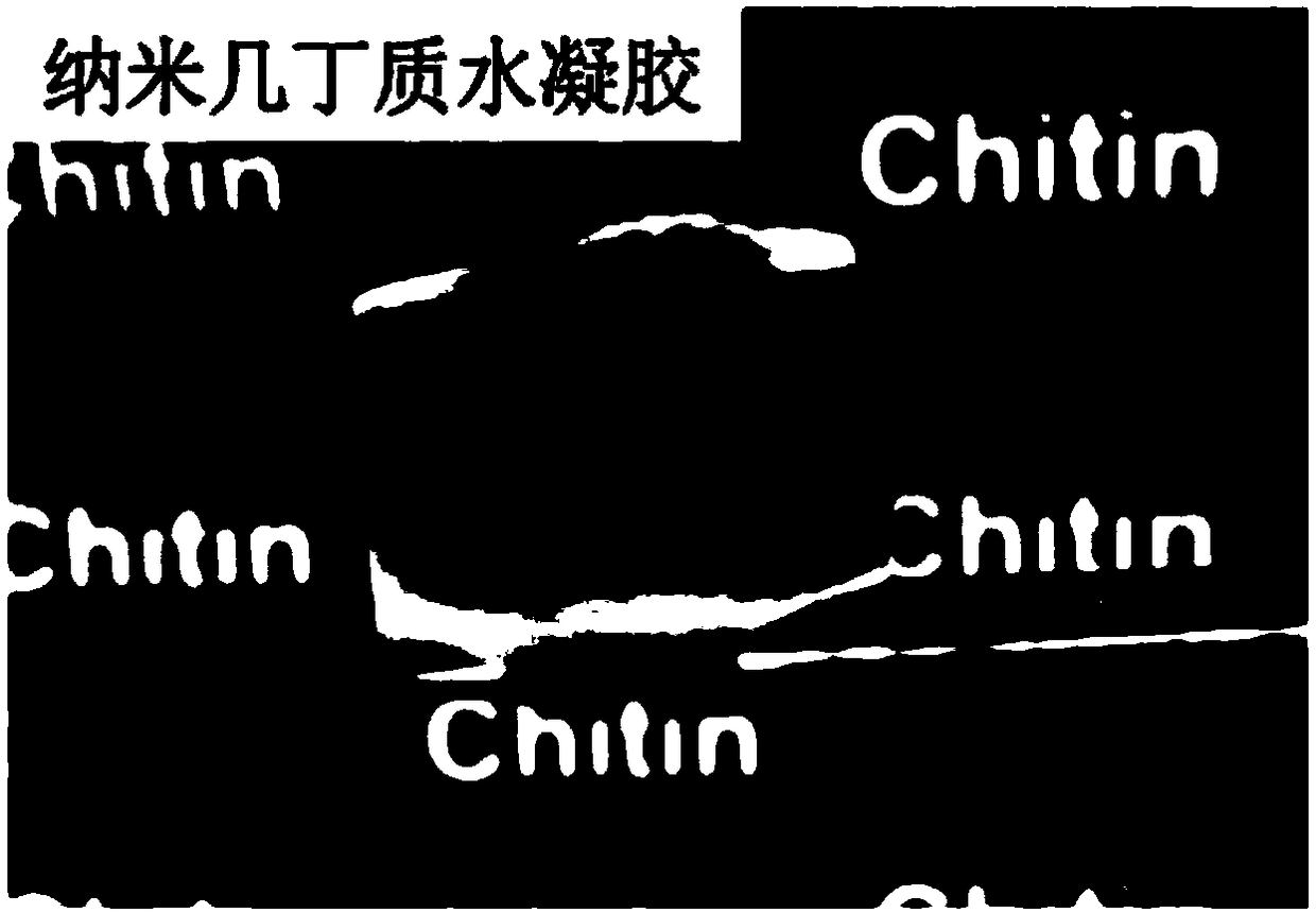 Nano chitin hydrogel and aerogel and preparation method and application thereof