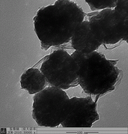 Method for preparing natural-cellulose based magnetic porous carbon and application of natural-cellulose based magnetic porous carbon