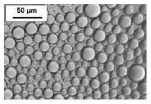 The preparation method of antibacterial type sma emulsion