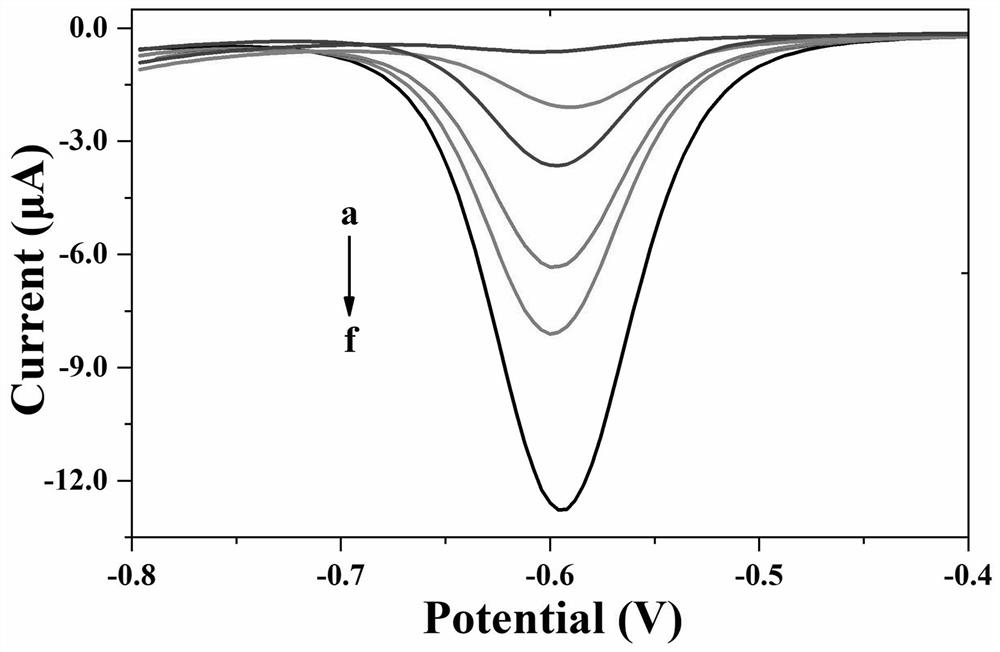 Electrochemical immunochromatographic test strip for quantitative detection of novel coronavirus antigen and preparation method thereof