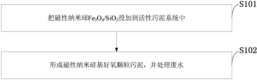 Magnetic nano-silicon-based aerobic granular sludge and culture method and application thereof