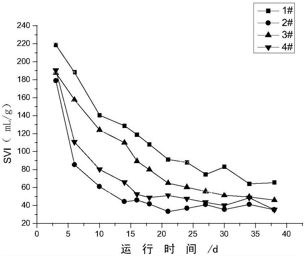 Magnetic nano-silicon-based aerobic granular sludge and culture method and application thereof