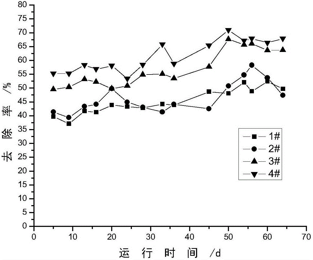 Magnetic nano-silicon-based aerobic granular sludge and culture method and application thereof