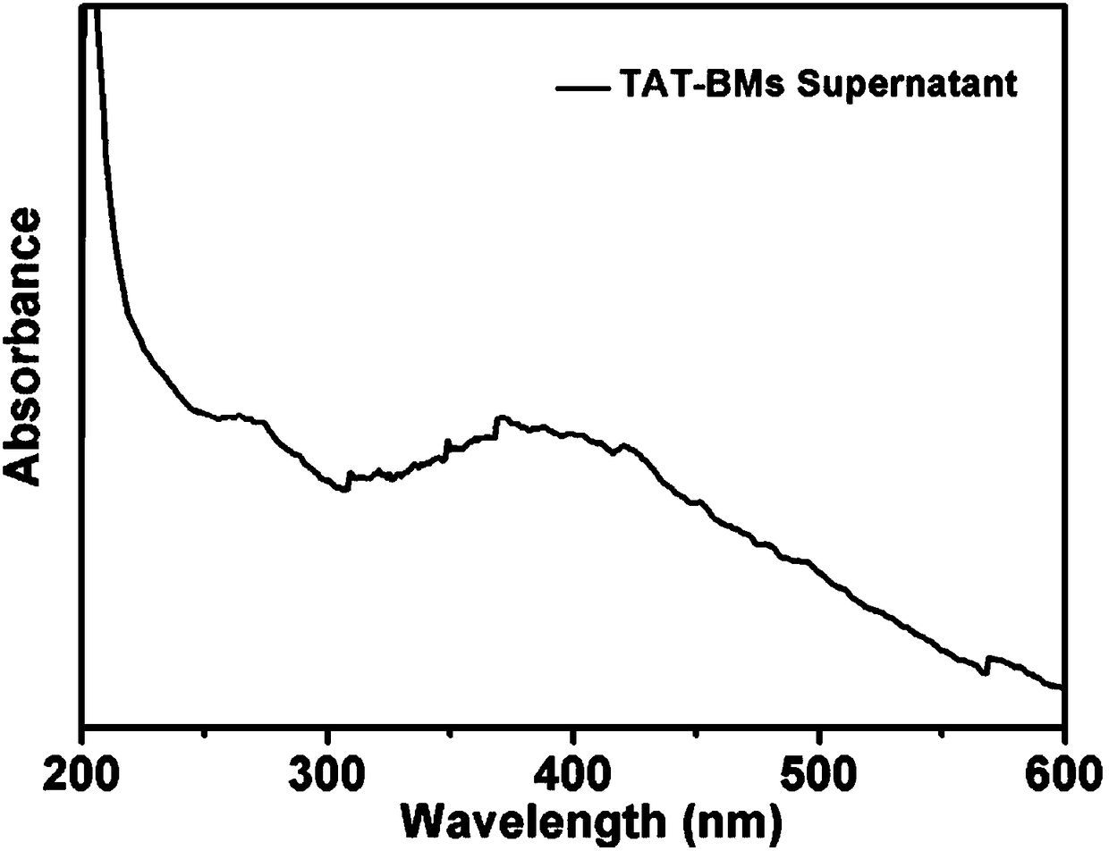 Preparation method and application of magnetic nanoparticles crossing blood-eye barrier