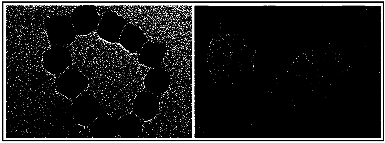 Preparation method and application of magnetic nanoparticles crossing blood-eye barrier