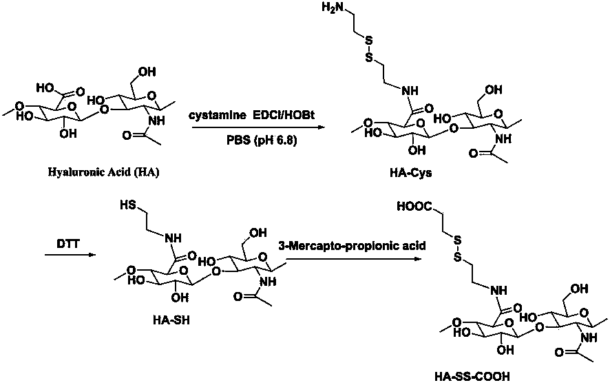 Gene vector system, its preparation and application