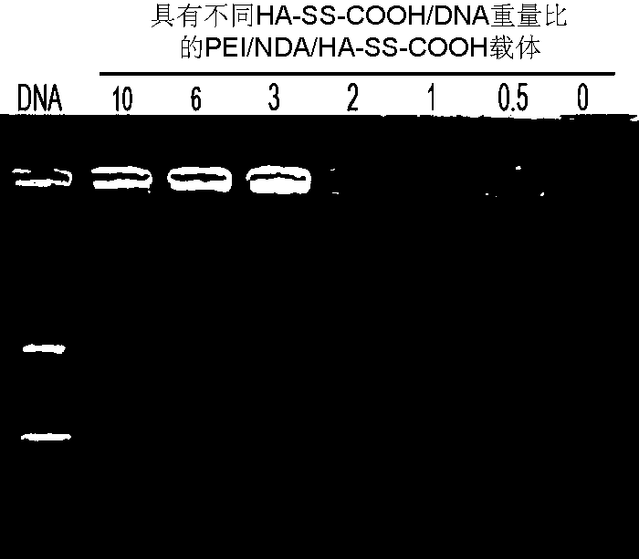 Gene vector system, its preparation and application