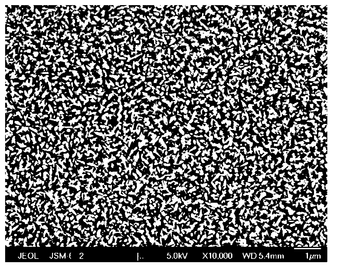 Organic/inorganic hybrid solar battery and preparation method thereof