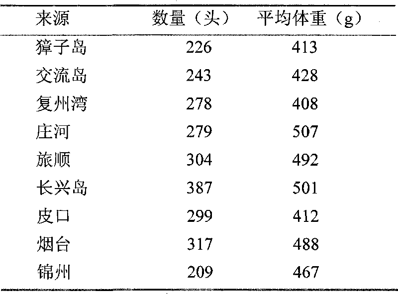 High strength selecting and cultivating method of excellent stichopus japonicus seeds