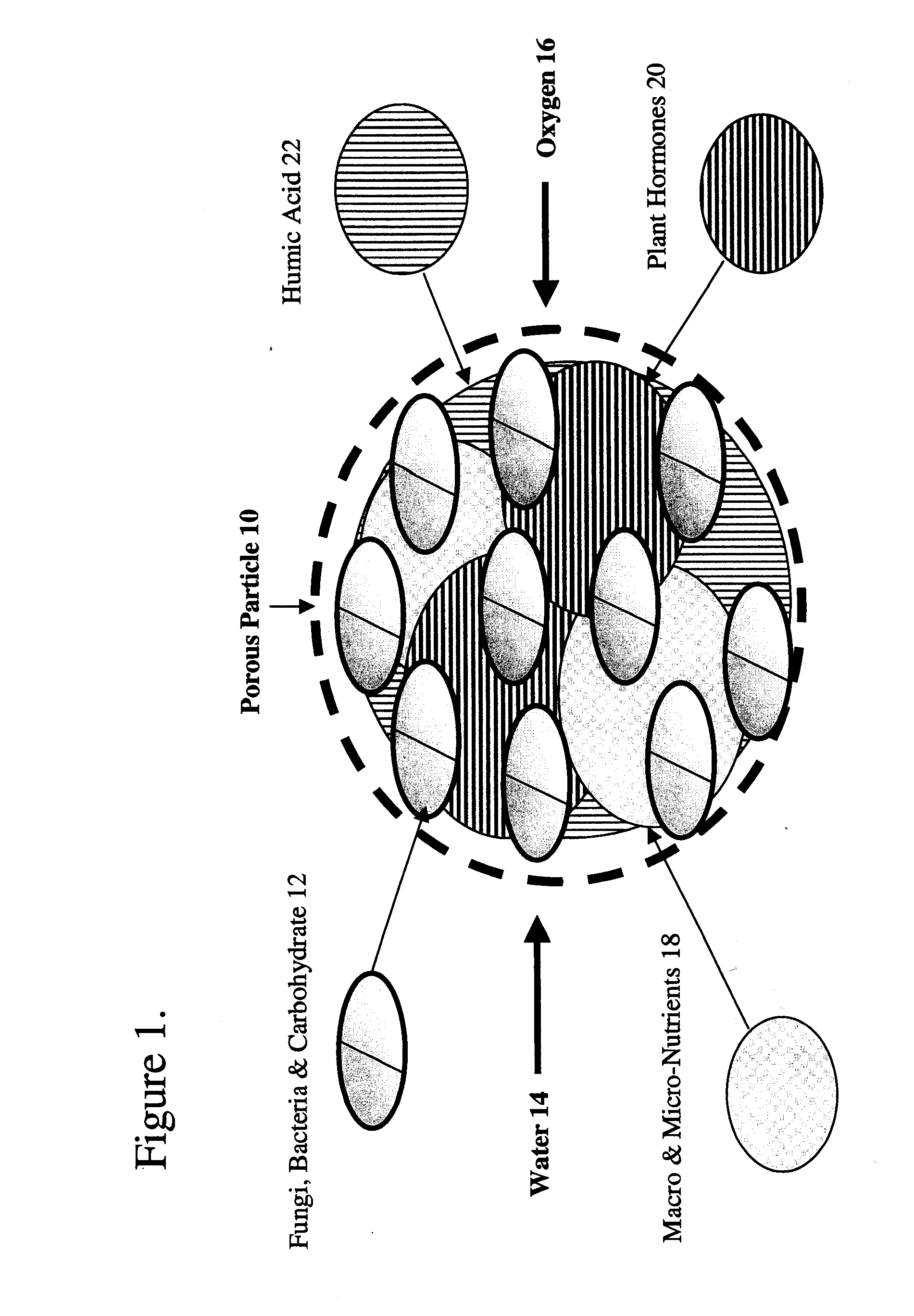 Biological soil nutrient system