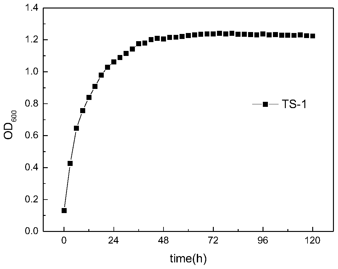 Paracoccus denitrificans strain screening and application of paracoccus denitrificans in deodorization