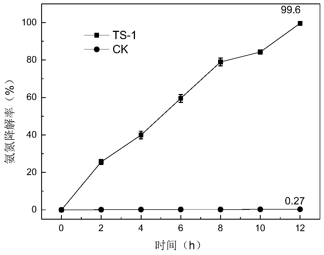 Paracoccus denitrificans strain screening and application of paracoccus denitrificans in deodorization