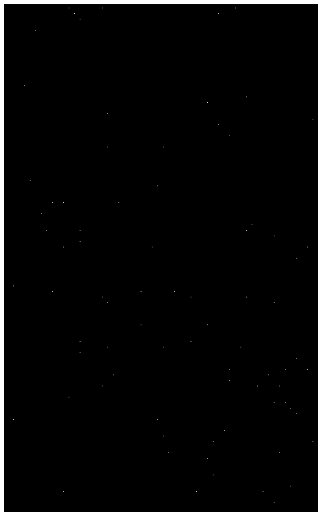 Surface modification method of polydimethylsiloxane based on hydrophobin/methylcellulose