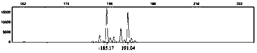 Microsatellite molecular marker sites of big pacific salmons, and polymorphic primers and application thereof