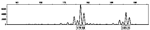 Microsatellite molecular marker sites of big pacific salmons, and polymorphic primers and application thereof