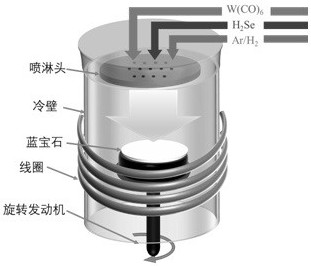 Preparation method for continuously growing tungsten selenide film through MOCVD