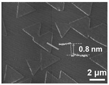 Preparation method for continuously growing tungsten selenide film through MOCVD