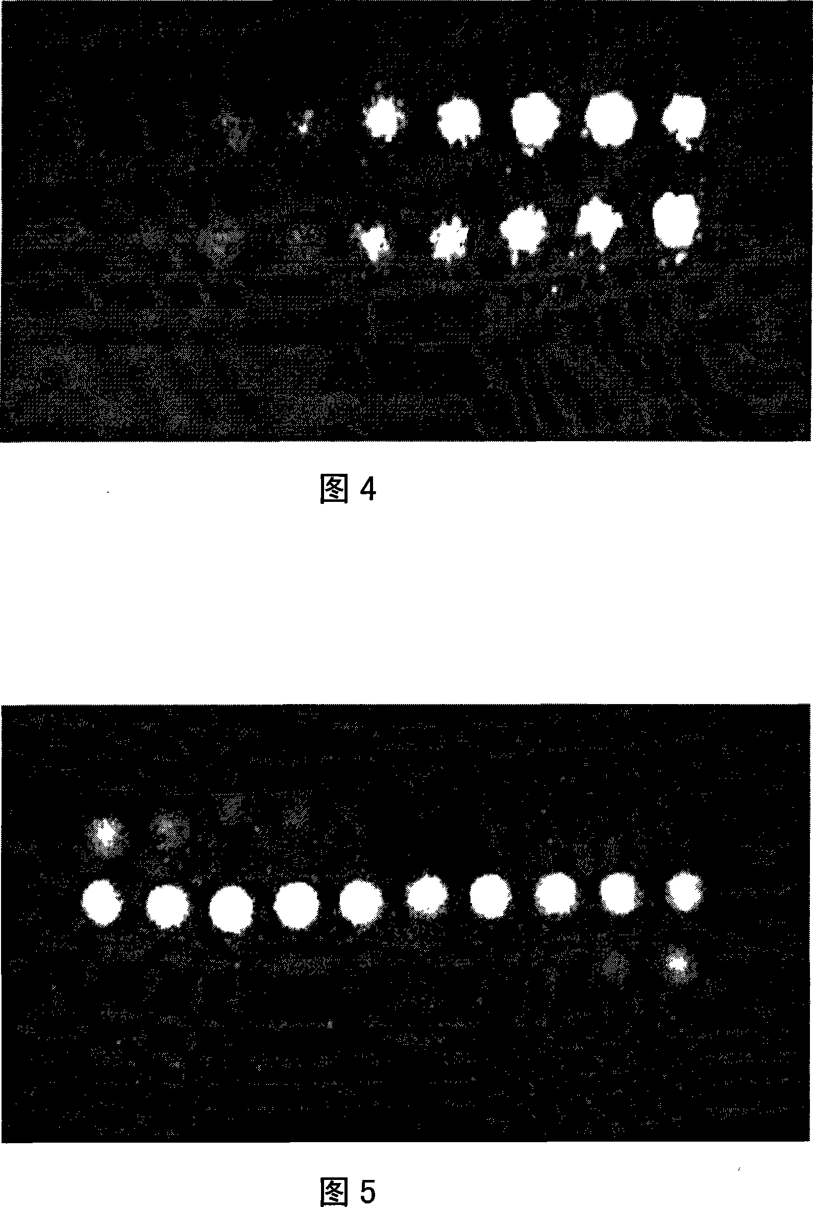 Measurement method for photoelectric image gating light-valve shutter time calibration and device thereof