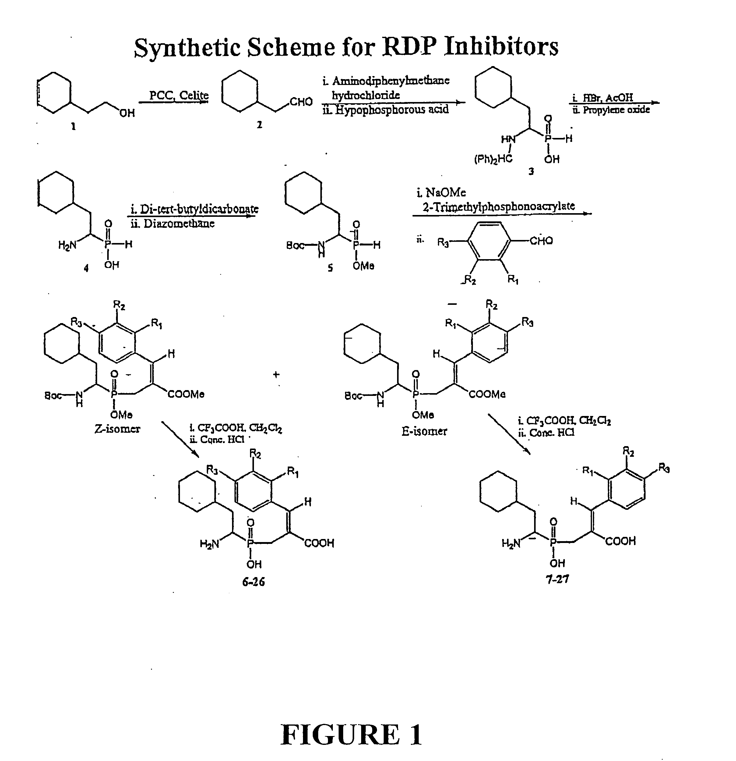 Design and synthesis of renal dipeptidase inhibitors