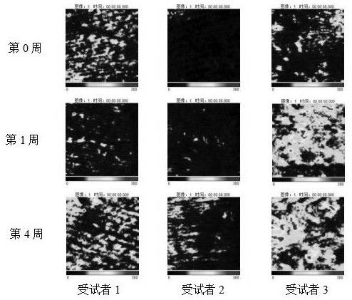 Plant composition as well as preparation method and application thereof