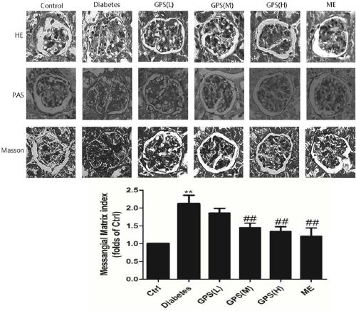 Gentiopicroside and applications thereof