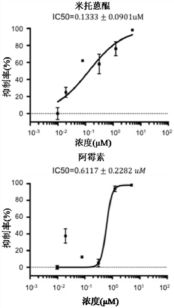 Application of DNA topoisomerase inhibitor in preparation of medicine for preventing and/or treating novel coronavirus infection