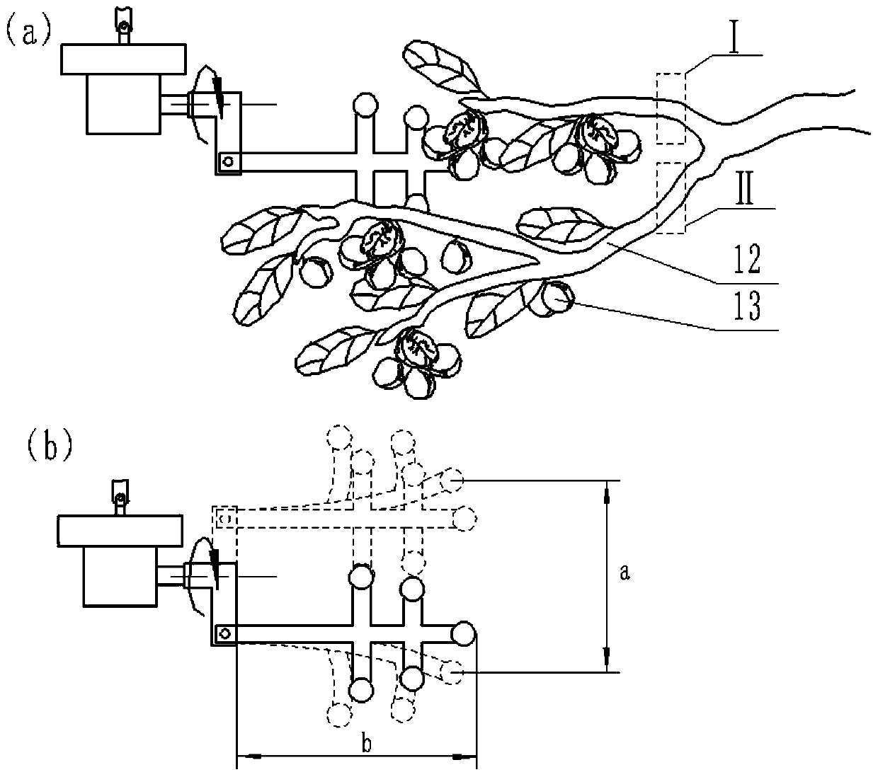 Chinese walnut picking and collecting device and method based on unmanned aerial vehicle