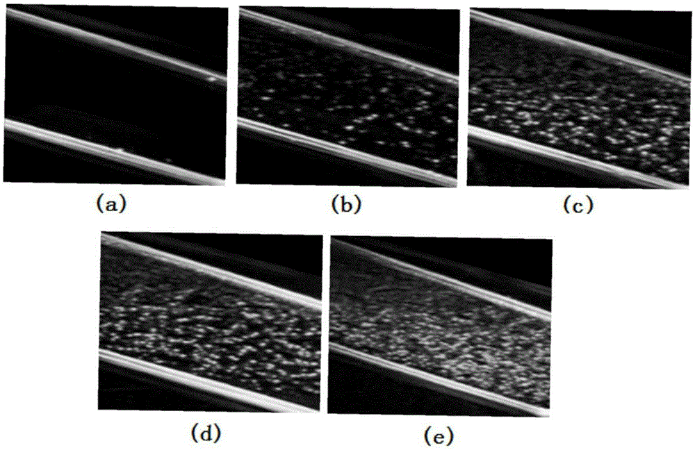 Novel ultrasonic/magnetic resonance dual-mode contrast agent and preparation method and application thereof