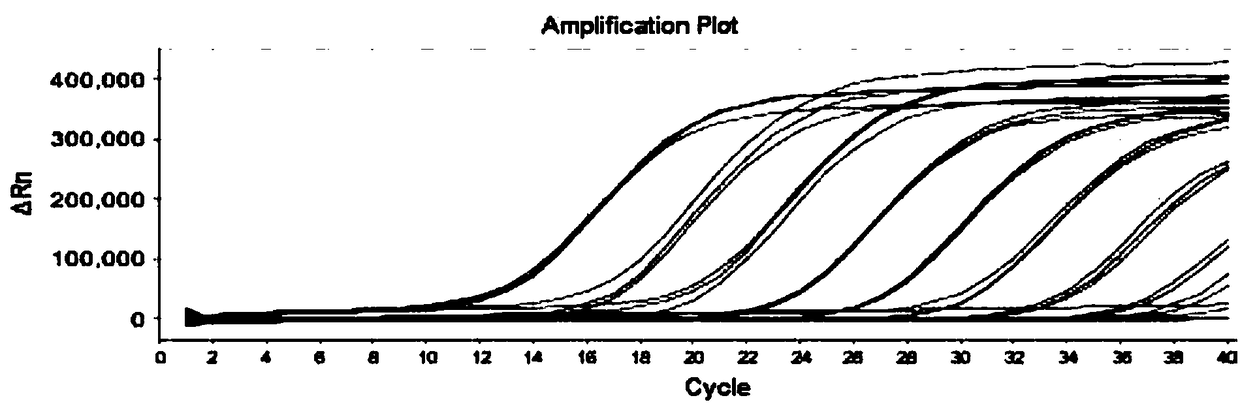 Primer probes and identification method for enterovirus typing identification