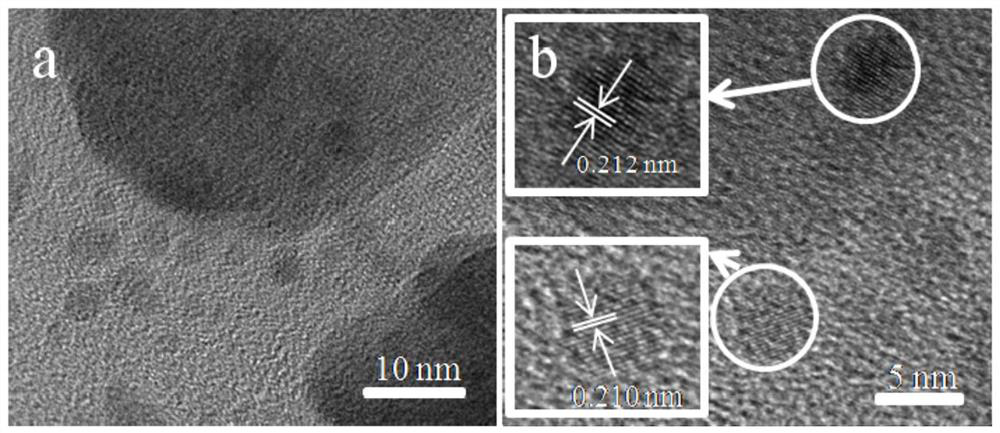 Nanoscale nickel phosphide/carbon cloth composite material and its preparation method and application in electrocatalyst