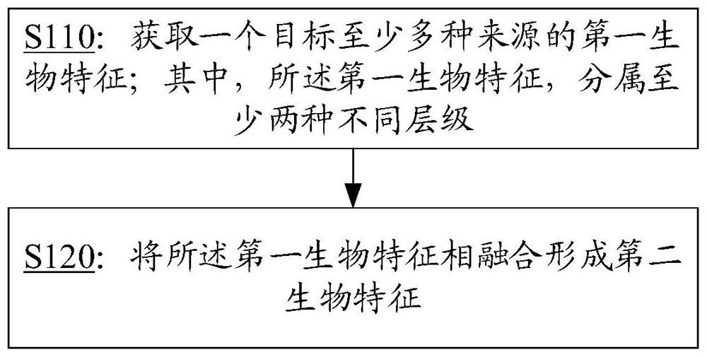 Biological feature fusion method and device, electronic equipment and storage medium