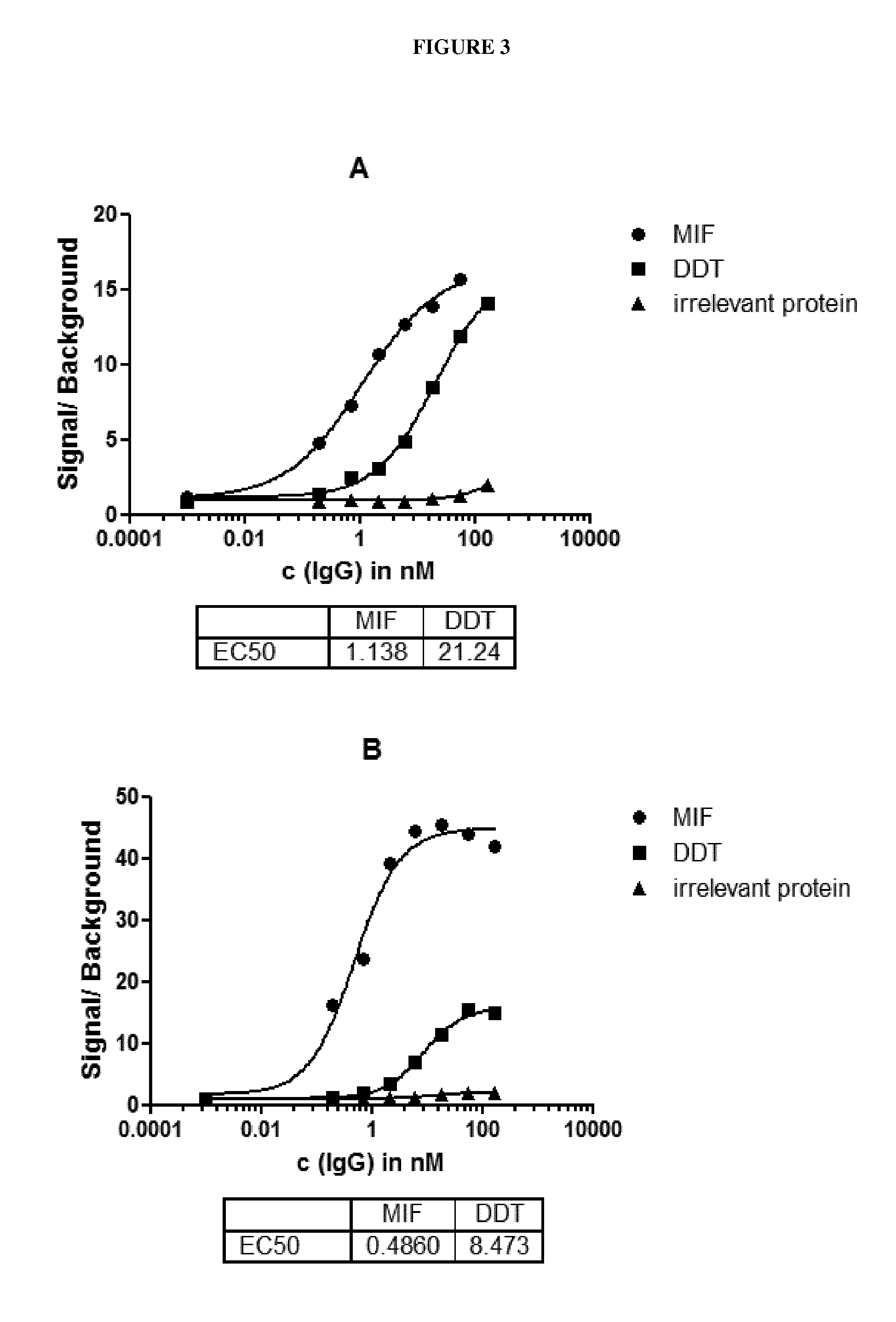 Antibodies that are cross-reactive for macrophage migration inhibitory factor (MIF) and D-dopachrome tautomerase (D-DT)