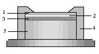 Method for selectively and quantitatively collecting Cd in water environment