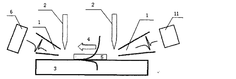 Terahertz spectral analysis device and detection method for biofilm