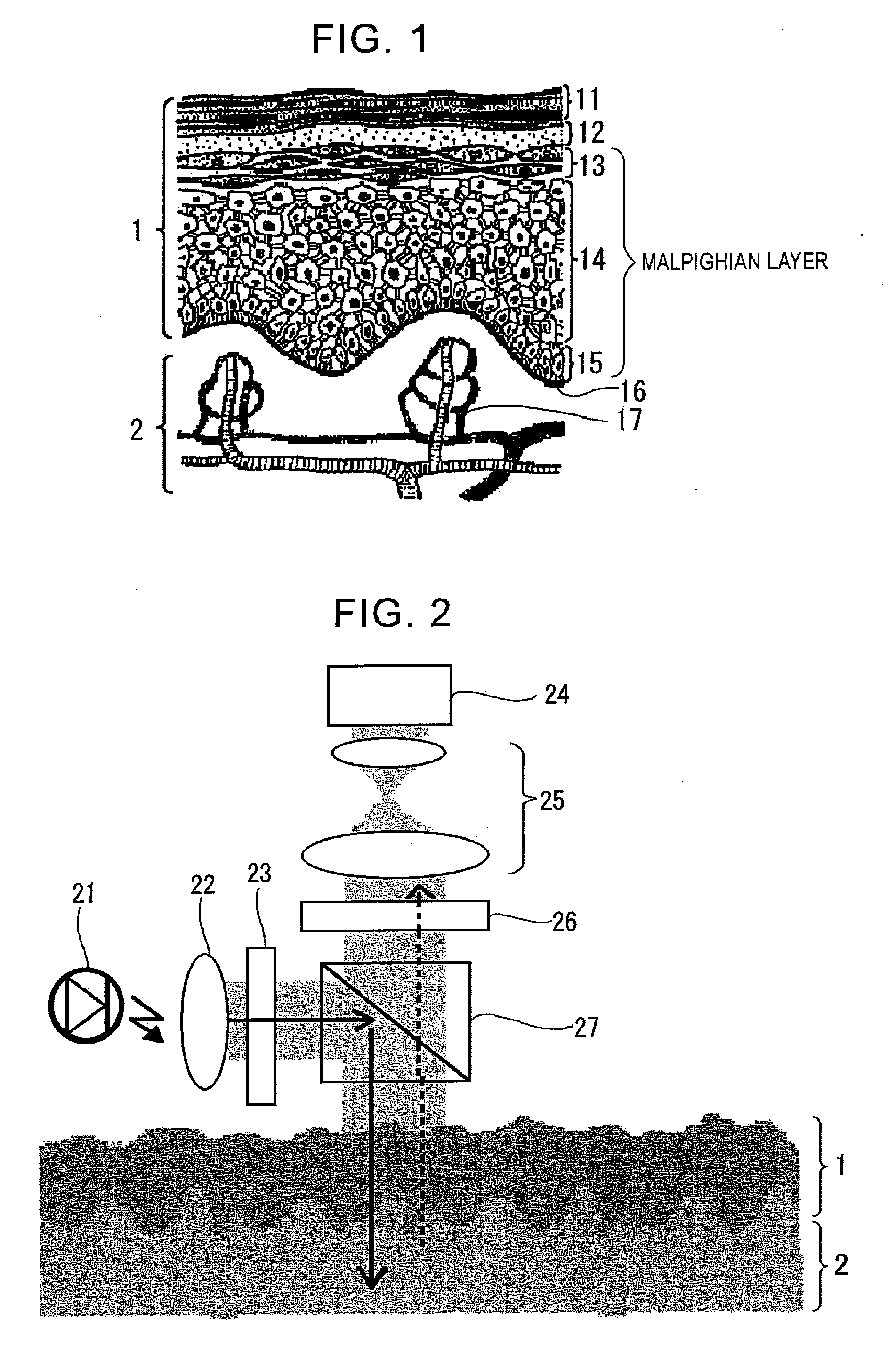 Living-tissue pattern detecting method, living-tissue pattern detecting device, biometric authentication method, and biometric authentication device