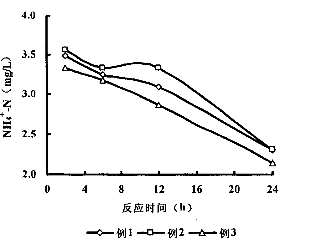 Denitrifying phosphorus-removing carrier and use