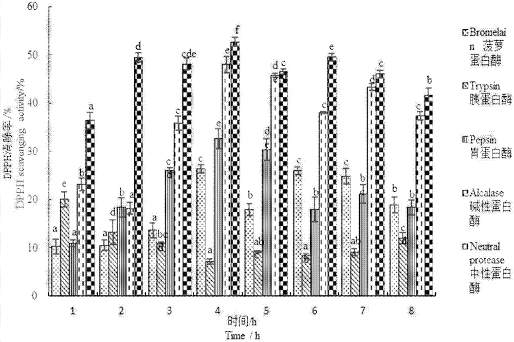 Penaeus japonicus anti-oxidative peptide and preparation method thereof