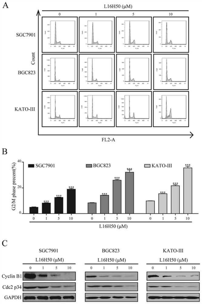 A kind of non-ATP competitive FGFR1 inhibitor and its application