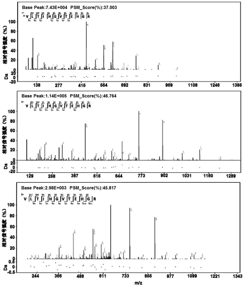 Mycobacterium tuberculosis h37rv encoding gene and its application