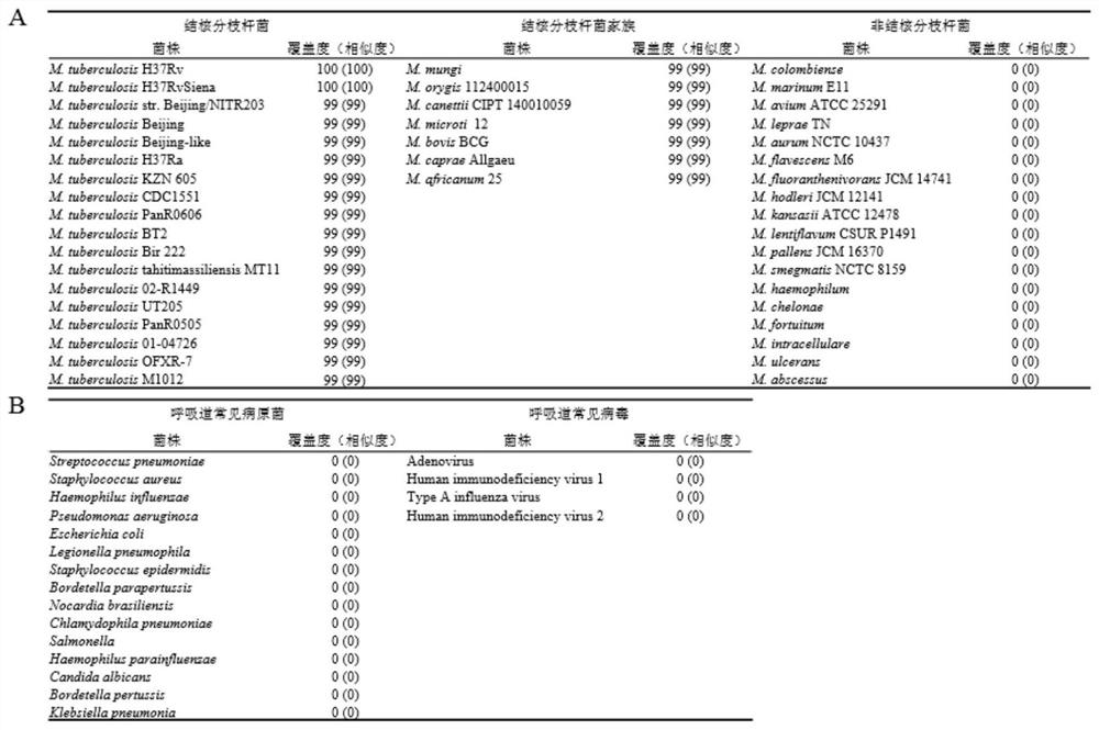 Mycobacterium tuberculosis h37rv encoding gene and its application