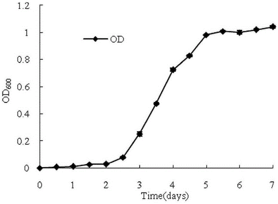 Domesticating and culturing method for thiobacillusthioparus applied to high-temperature aerobic composting