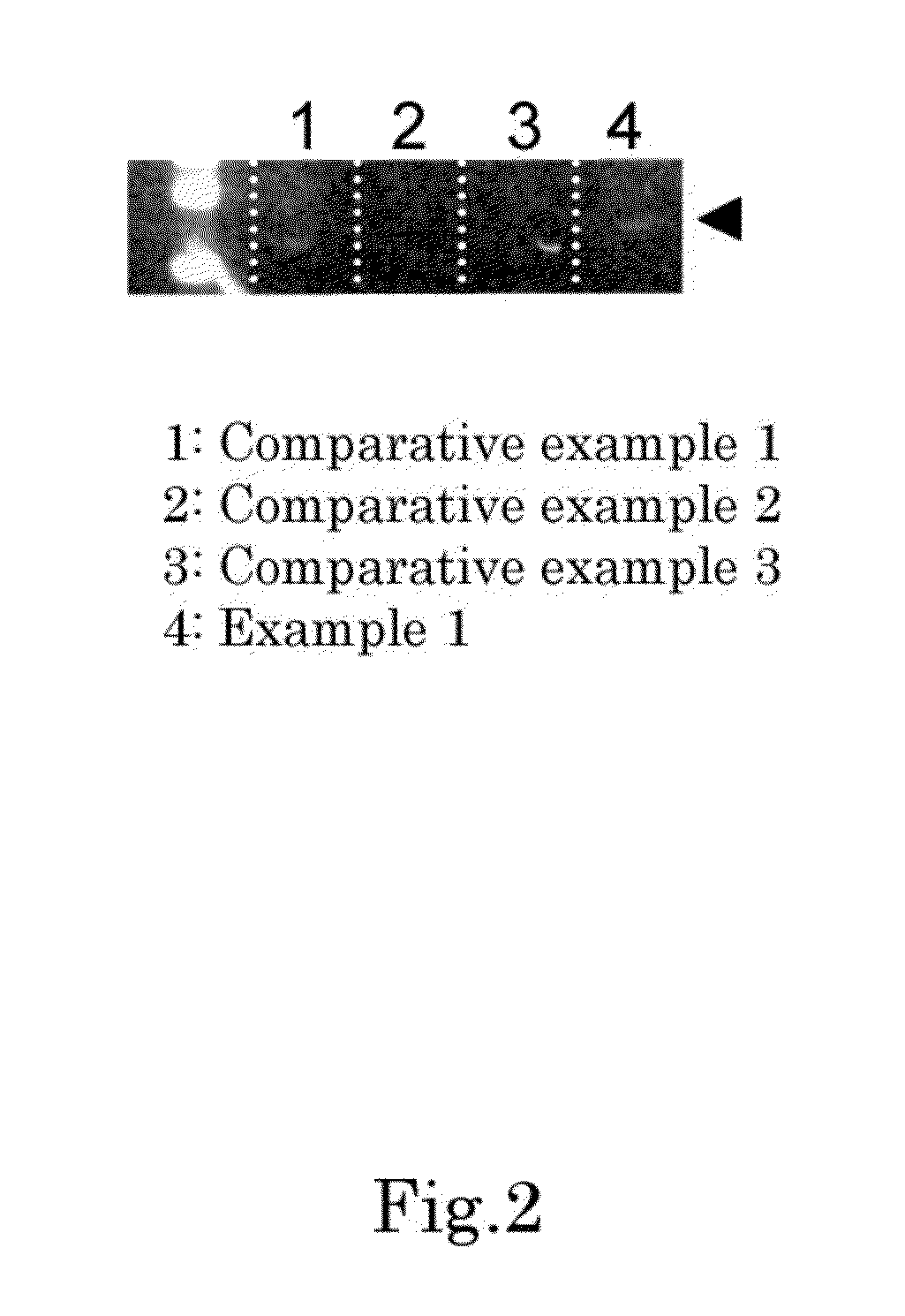 Method for identifying olfactory receptor included in one olfactory cell