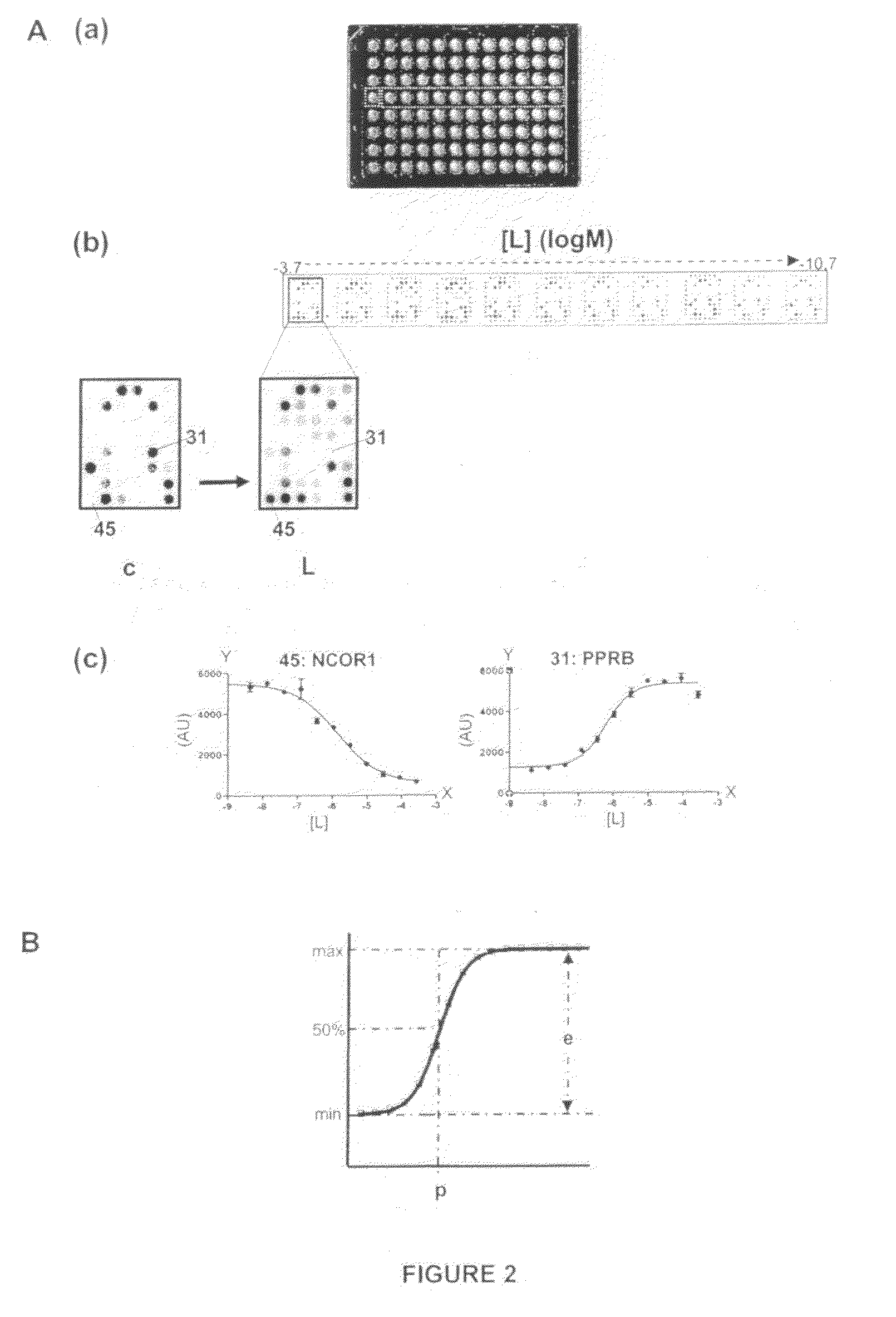 Nuclear receptor assay