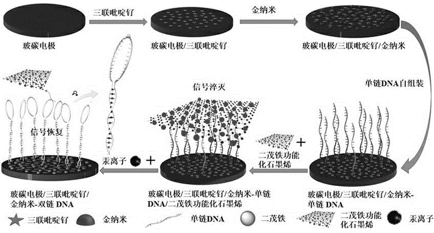 Preparation method and application of modified glassy carbon electrode