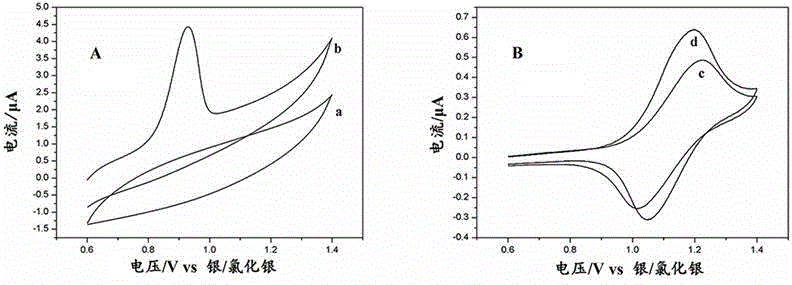 Preparation method and application of modified glassy carbon electrode