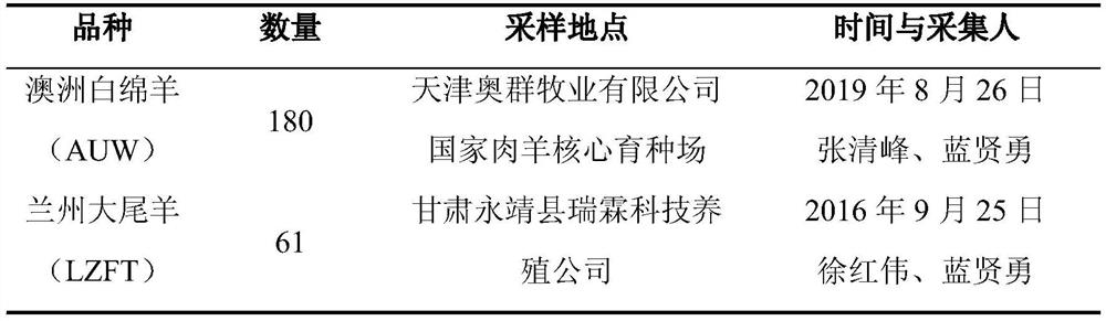 Method and kit for detecting insertion/deletion polymorphism of sheep CRY2 gene, and application of kit