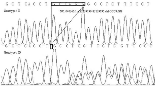 Method and kit for detecting insertion/deletion polymorphism of sheep CRY2 gene, and application of kit