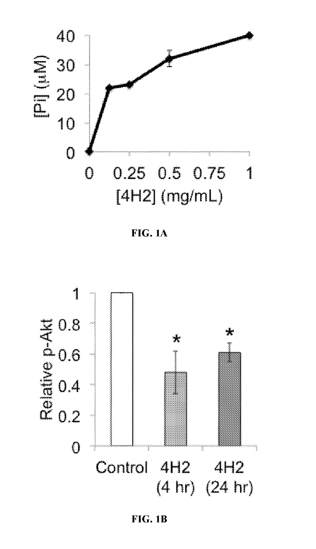 Anti-guanosine antibody as a molecular delivery vehicle