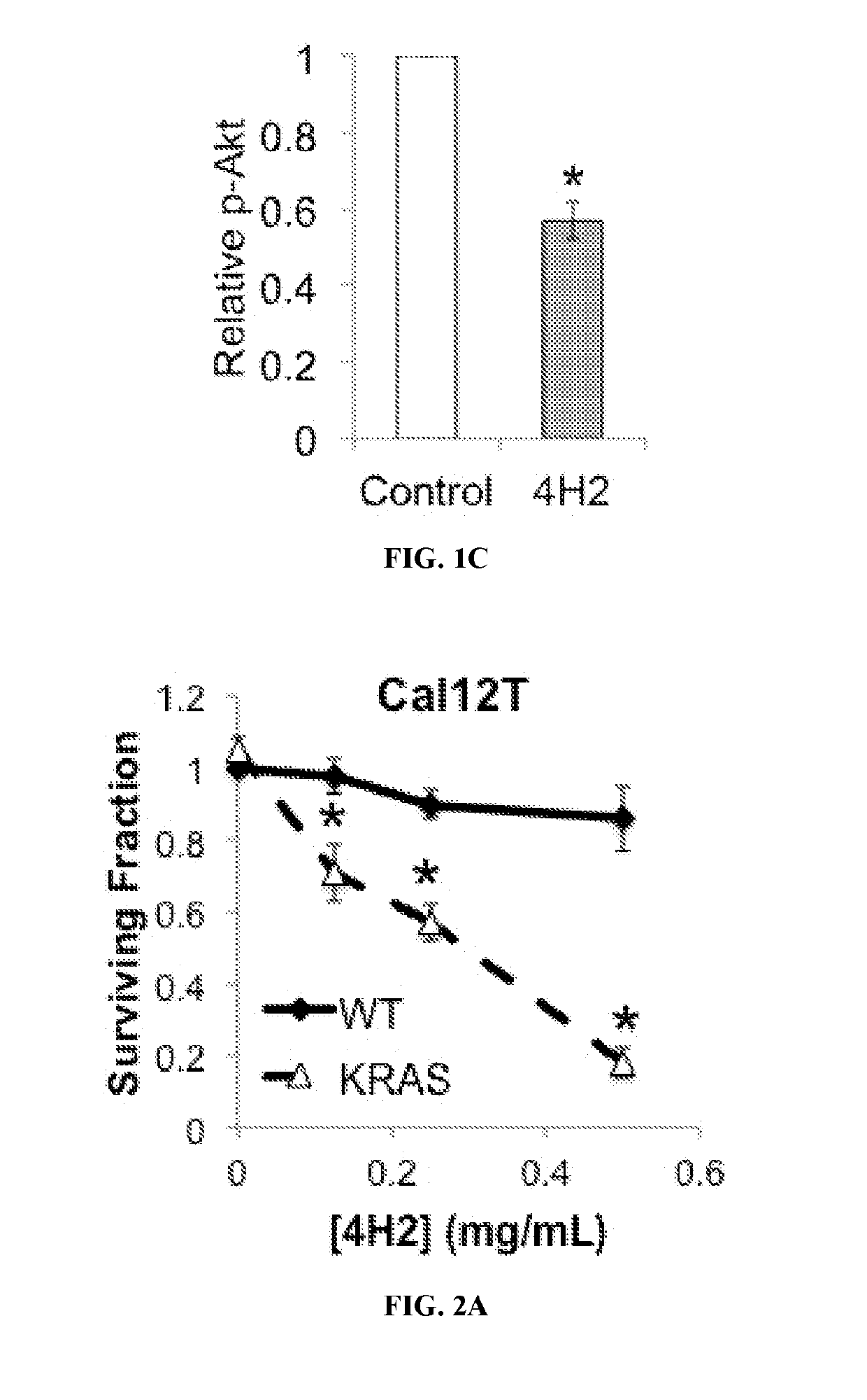 Anti-guanosine antibody as a molecular delivery vehicle